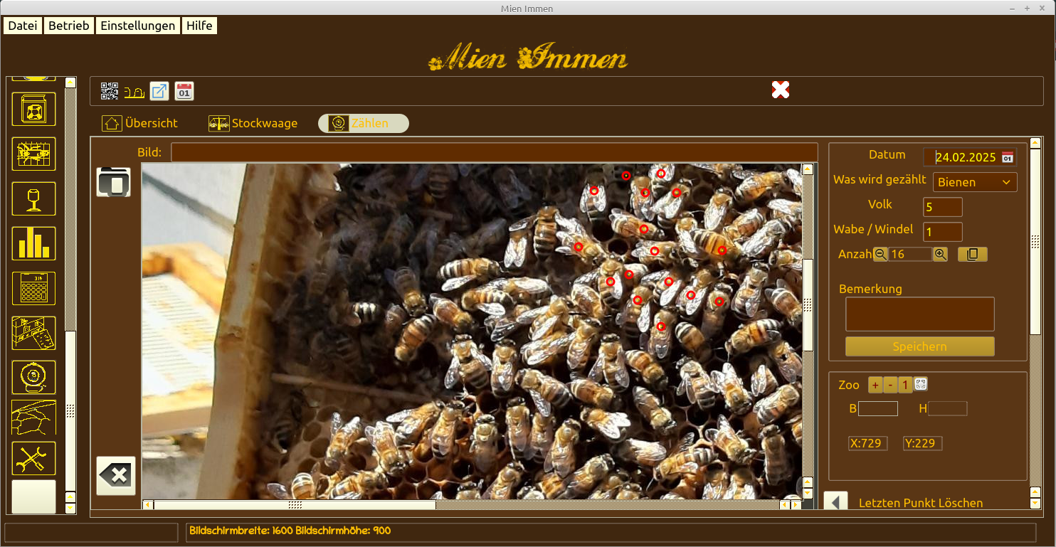 Bienen/Vorroa zählen